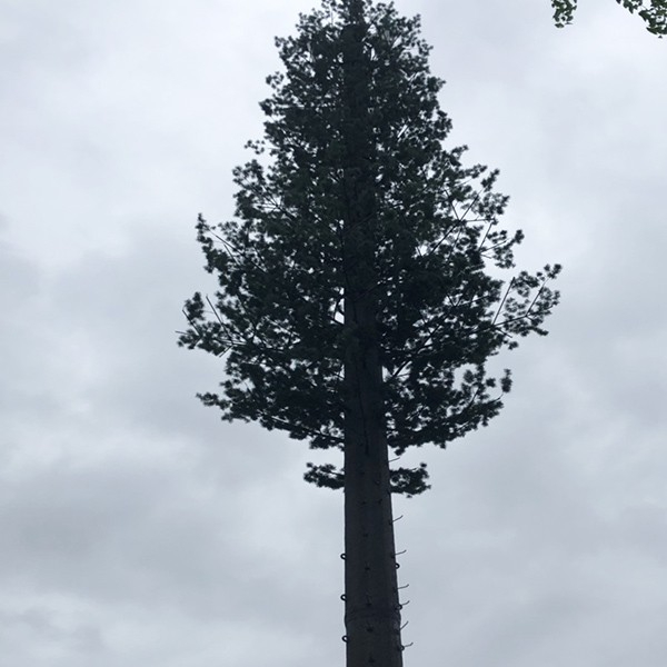 美化塔
